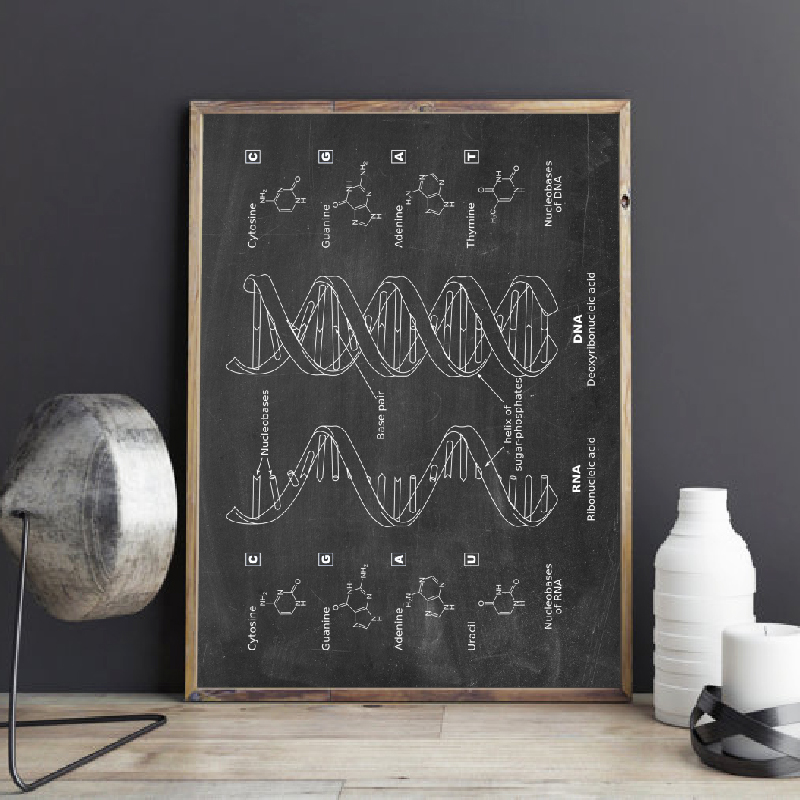 DNA 特許壁アート遺伝学ポスタープリント生物学壁装飾ヴィン - Star Map Poster のレビューと価格