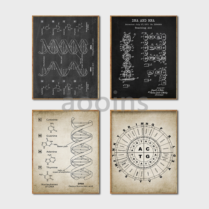 DNA 特許壁アート遺伝学ポスタープリント生物学壁装飾ヴィン - Star Map Poster のレビューと価格